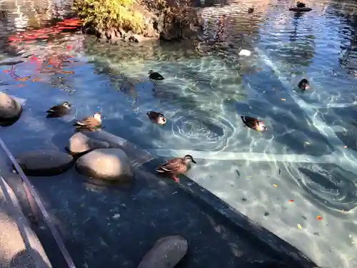 川崎大師（平間寺）の庭園