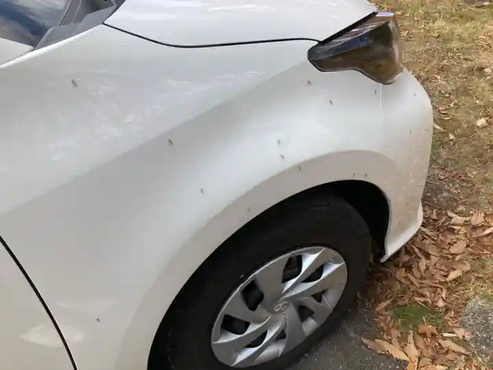 赤城神社(群馬県)