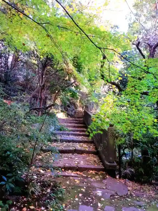 赤坂氷川神社(東京都)