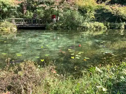 根道神社の庭園