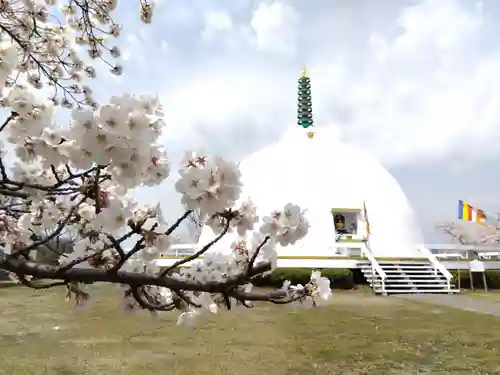 妙法寺(福井県)