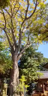 五霊神社(神奈川県)