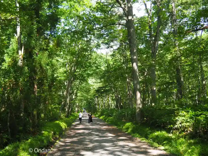 戸隠神社奥社(長野県)