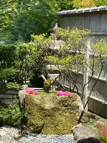 正寿院の手水舎