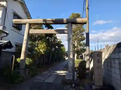 白髭神社(東京都)