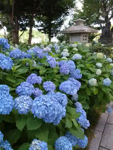 西野神社(北海道)