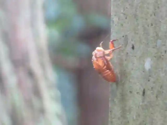 那谷寺(石川県)