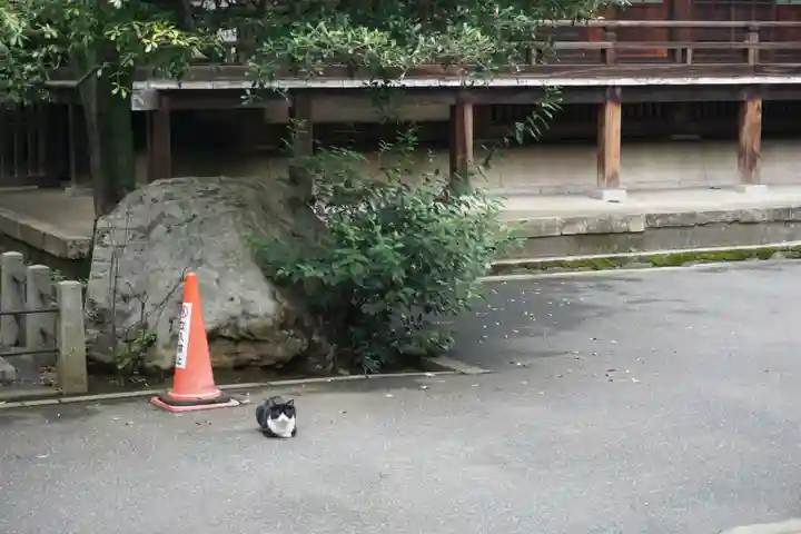 法明寺の動物