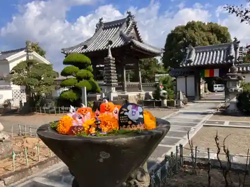 真言宗　善通寺派　薬王寺(香川県)