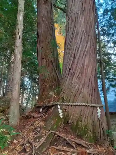 戸隠神社火之御子社(長野県)