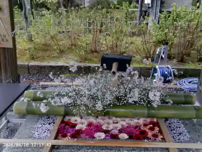 白山神社の{uncategorized: "未分類", other: "その他", undefined: "問題あり", building: "その他建物", grave: "お墓", sacred_gate: "鳥居", guardian: "狛犬", statue: "像", buddha: "仏像", history: "歴史", nature: "自然", garden: "庭園", animal: "動物", pagoda: "塔", temizu: "手水舎", mountain_gate: "山門・神門", sanctuary: "本殿・本堂", subordinate: "末社・摂社", art: "芸術", scenery: "景色", jizo: "地蔵", ema: "絵馬", goshuin: "御朱印", omikuji: "おみくじ", items: "授与品その他", amulet: "お守り", goshuincho: "御朱印帳", eats: "食事", festival: "お祭り", votive_dance: "神楽", shichigosan: "七五三参", wedding: "結婚式", experience: "体験その他", initially: "初詣", around: "周辺", anti_infection: "感染症対策"}