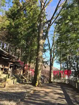 手長神社(長野県)
