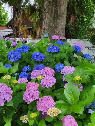 性海寺(愛知県)