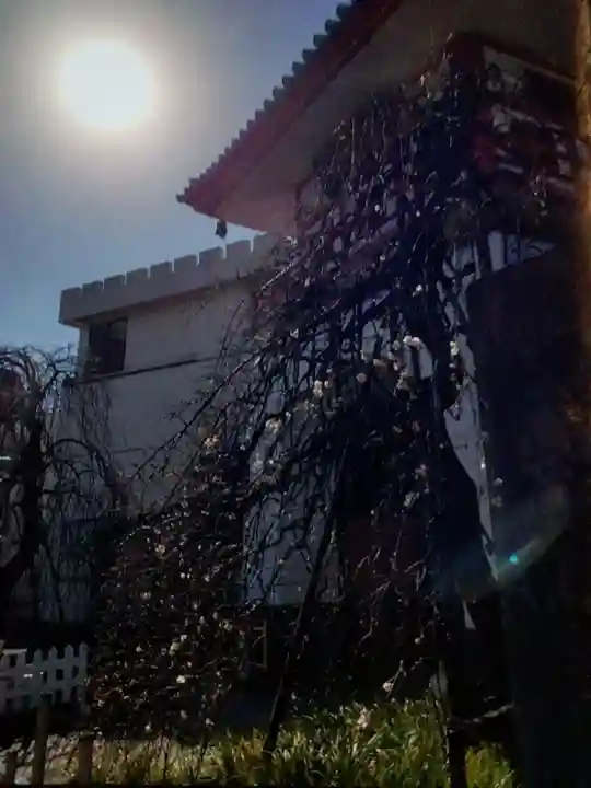 成願寺(東京都)