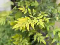 西方山極楽寺(岐阜県)