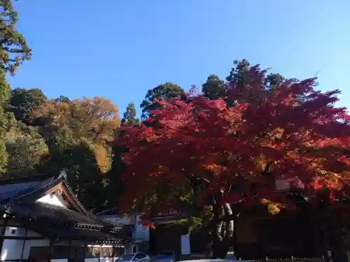 金剱宮(石川県)
