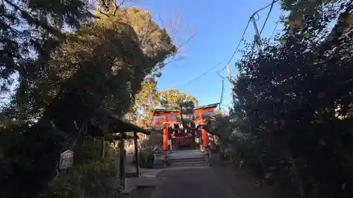 許波多神社（五ケ庄鎮座）の鳥居