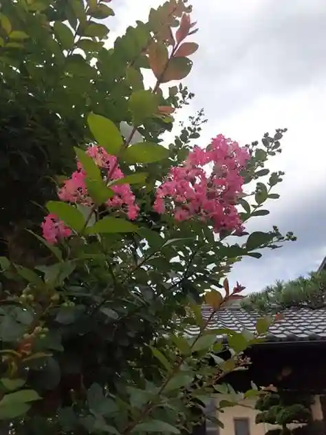 西方山極楽寺(岐阜県)