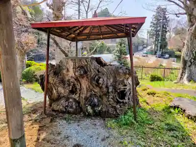 熊野神社(東京都)