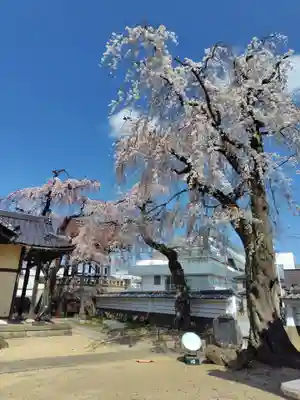 長松院(福島県)