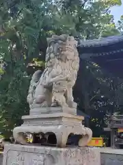 小池神社の狛犬