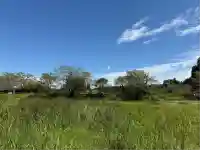 白山神社(千葉県)