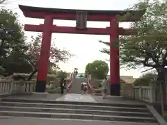 亀戸天神社の鳥居