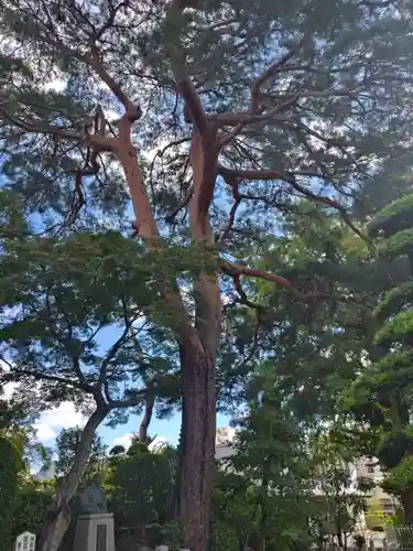 禅林寺(東京都)
