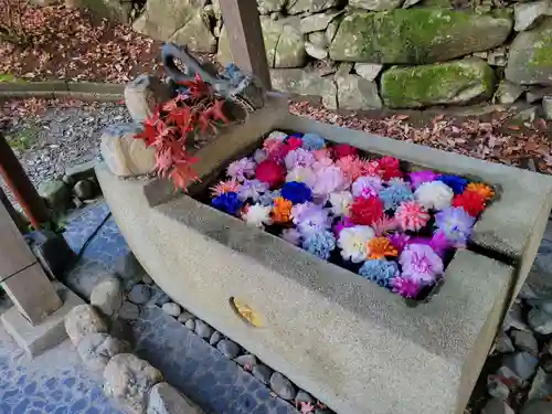 村雲御所瑞龍寺門跡の手水舎