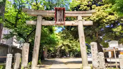 駒込富士神社(東京都)