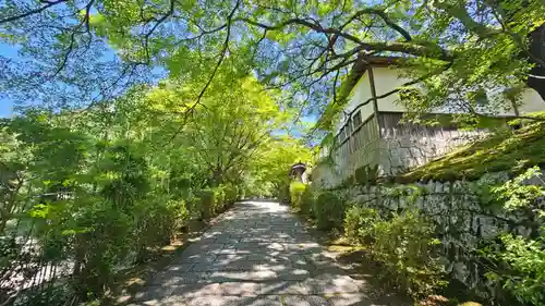 曼殊院門跡(京都府)