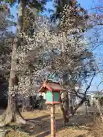 菅谷神社(埼玉県)