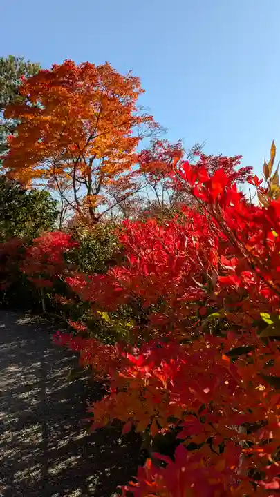 光悦寺(京都府)