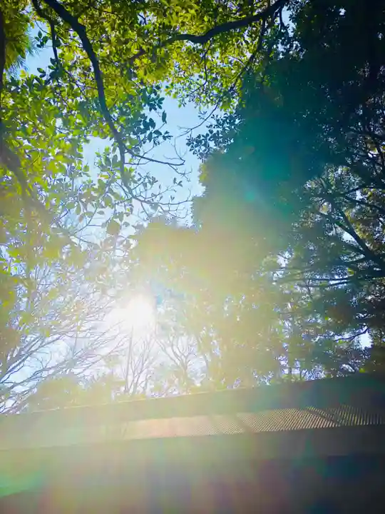 金刀比羅神社(茨城県)