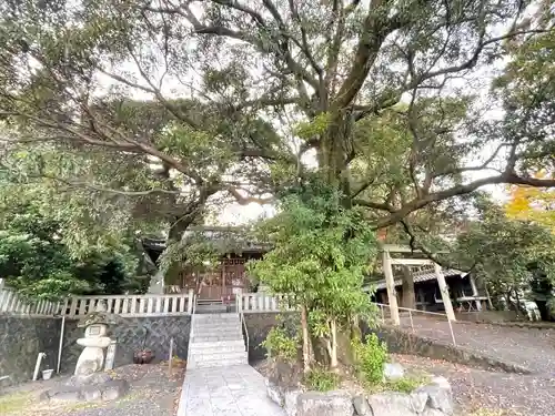 津島神社(岐阜県)