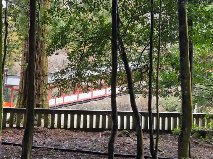 霧島神宮(鹿児島県)