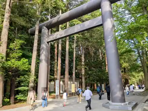 北海道神宮の鳥居