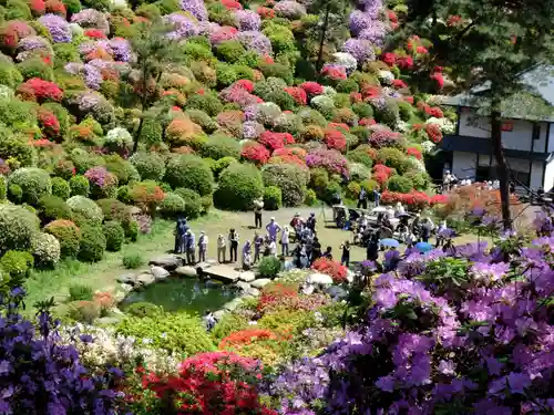 塩船観音寺の景色