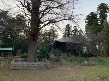 多聞院(千葉県)