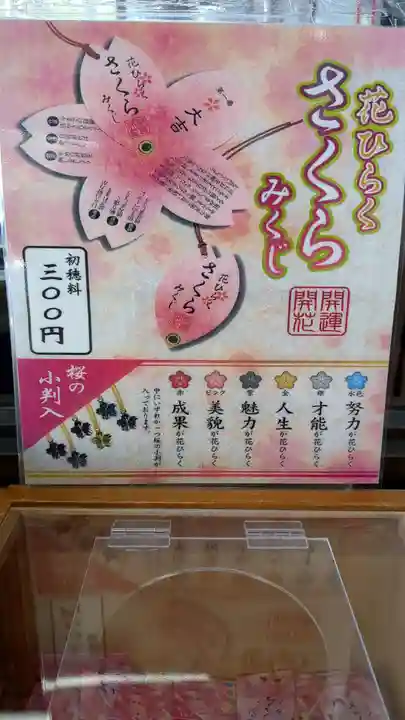 上川神社のおみくじ