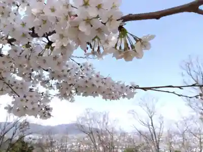 妙法寺(福井県)
