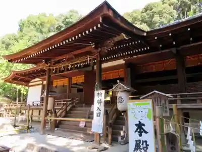 宇治上神社の本殿・本堂
