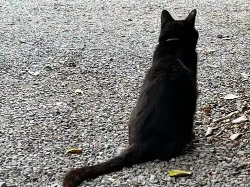 梅宮大社(京都府)