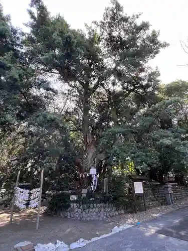 白羽神社(静岡県)