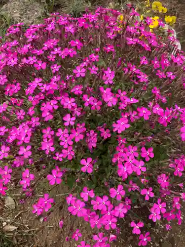 蓮久寺(千葉県)
