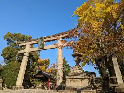 豊国神社の鳥居