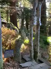 河口浅間神社(山梨県)