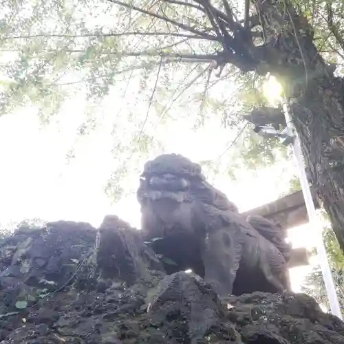 牛嶋神社の狛犬