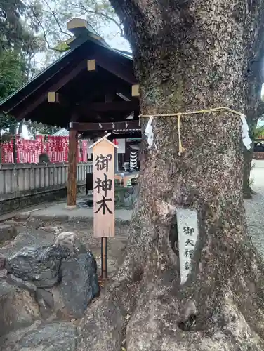 古知野神社(愛知県)