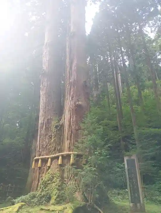 御岩神社(茨城県)